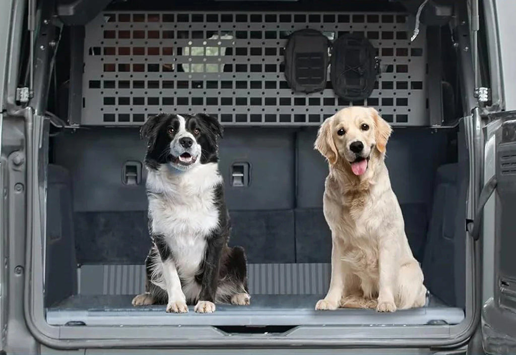 The Outdoor Gear Boom in 2025: Organizing Your Bronco for Stress-Free Trips